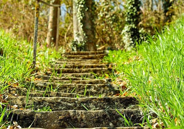 Modelo profesional de rehabilitación de adicciones en Asera, A.C.